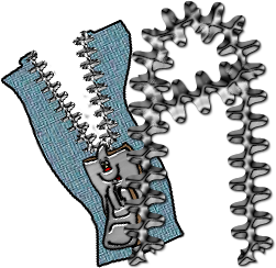 zipper-878877-1.png